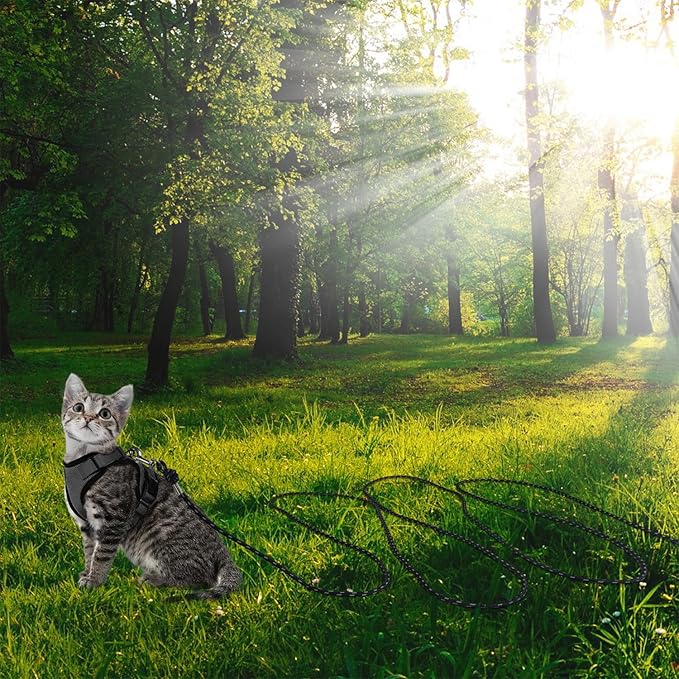 Reflective Cat Leash -50FT Cat Cable Out Escape Proof Walking Leads Yard Long Durable Safe Leash Traning Play Outdoor for Puppies/Kittens/Small Animals(Black)