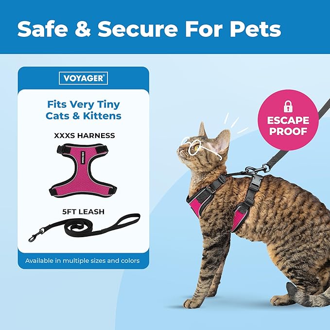 Voyager Escape-Proof Step-in Lock Cat Harness & 5ft Neoprene-Handle Leash Set All-Weather Mesh with Reflective Stitching for Small to Large Cats by Best Pet Supplies, Black Trim-Fuchsia (327), XXXS