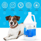 Oxydent Premium Pet Dental Care Solution - Pet Water Additive & Mouthwash for Teeth Cleaning - Eliminate Bad Dog & Cat Bad Breath - Dog Dental Rinse - Fights Tartar & Plaque - 1 Gallon