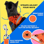 Travel Cat Harness and Leash Set - Adjustable Fit Mesh Cat Harness and Reflective Strap - Comfort Walking Vest for Kitten for Outdoor Walking, Hiking (Extra Small, Orange)