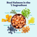 Solid Gold Salmon Dog Food for Sensitive Stomachs – Grain Free & Gluten Free Kibble w/Probiotics to Support Gut Health & Digestion - Sensitive Stomach Dog Food for All Ages – Nutrientboost™ – 3.75 LB