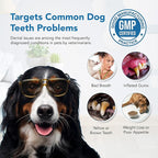 Dental Powder for Dogs - Plaque Control & Tartar Remover, Breath Freshener with Probiotics, Vitamins & Natural Extracts - Perio Support Powder for Dogs, 2.82 oz (80g)