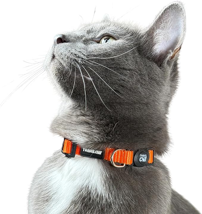 Travel Cat Breakaway Cat Collar - Orange Adjustable Cute Katty Collar with Quick Release Safety Buckle for Boy and Girl - Nylon 8-13 inch Length Kitten Collar with Metal D-Ring, Machine Washable