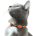 Travel Cat Breakaway Cat Collar - Orange Adjustable Cute Katty Collar with Quick Release Safety Buckle for Boy and Girl - Nylon 8-13 inch Length Kitten Collar with Metal D-Ring, Machine Washable