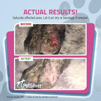 PetSilver Wound & Skin Spray - Dog Wound Spray, Hot Spot, Allergy Relief for Dogs, Itch Spray for Cats - Natural Skin Soother - Chelated Silver, Superior to Colloidal Silver - Made in USA - 16 fl oz