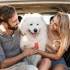 Yinkin 200 Pcs Personalized Military Dog Tags Set Including 100 Pcs Aluminum Blank Dog Tags for Engraving 100 Ball Steel Chain Rectangle Metal Blank Stamping Label for DIY Craft(Red)