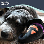 Huxley & Kent Halloween Funny Dog Toy w/Squeaker – Power Plush Squeaky Dog Toys for Small, Medium & Large Dogs – Soft Stuffed Animal for Indoor Play & Fetch - Witch Hat, One Size