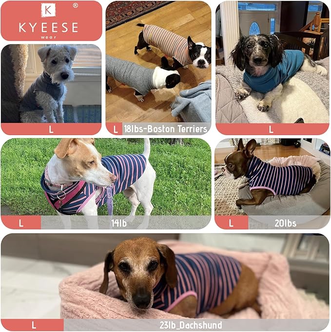KYEESE 2Pack Dog Sweater Turtleneck Dog Sweaters for Small Dogs Male Stretchy Dogs Clothes Soft Dachshund Clothes Pullover Pet Sweatshirt Warm Pets Coats Small Pet Sweaters