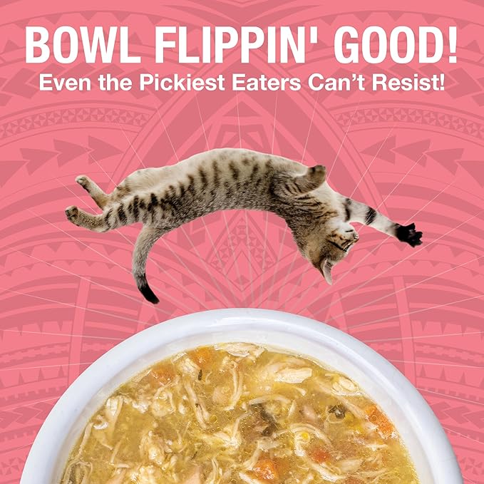 KOHA Pure Shreds Chicken and Salmon Entrée for Cats, High Protein Wet Cat Food, 2.8oz Cans (Pack of 24)