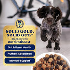 Solid Gold Chicken Dry Puppy Food - W/Real Chicken & Potato - Grain Free & Gluten Free Puppy Dog Food w/Probiotics for Gut Health & Digestion - Healthy Kibble for Puppies - Nutrientboost™ - 3.75 LB