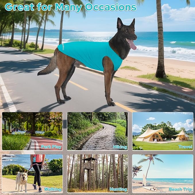 2-in-1 Dog Shirts, Soft and Cool T-Shirt Vests, Stretchy Summer Pet Clothes for Medium to Large Pets - Purple & Blue (XL)