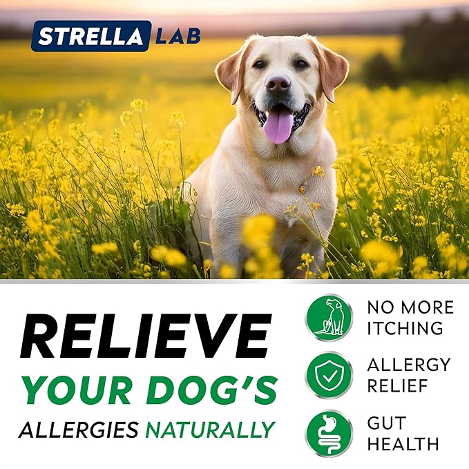 STRELLALAB Dog Allergy Relief & Anti Itch Support Chews w/Omega 3: Real Ingredients, Real Taste! Skin & Coat Immune Supplement w/Fish Oil, Pumpkin & Enzymes — BBQ Chicken - 180Ct