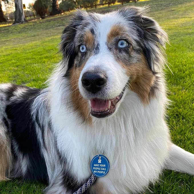 MYLUCKYTAG Stainless Steel Personalized Dog Tag - Online Pet Profile, Pet Location Alert Email - Durable Dog Collar Tag