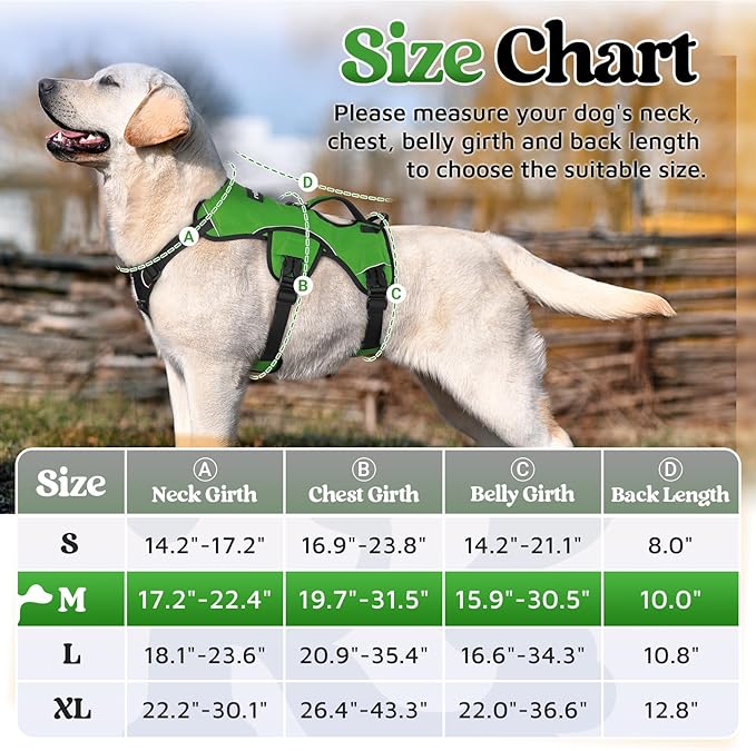 rabbitgoo Escape Proof Dog Harness, Soft Padded Full Body Pet Harness, Reflective Adjustable No Pull Vest with Lift Handle and Lesh Clip for Large Dogs Walking Hiking Training, M, Green