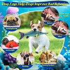 Large Squeaky Dog Toys :Plush Soft Dog Chew Toys - Tug of War for Large,Small, Medium,Puppy Breeds-Puppy Toys to Keep Them Busy