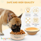 2-in-1 Insulated Dog Bowl with Collapsible Lid & Handle – Stainless Steel, Non-Slip Rubber Base – Portable Pet Water & Food Bowl for Dogs & Cats – 30 OZ + 20 OZ – Indoor & Outdoor (Beige)