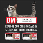 Purina Pro Plan Veterinary Diets DM Dietetic Management Feline Formula Dry Cat Food - 10 lb. Bag