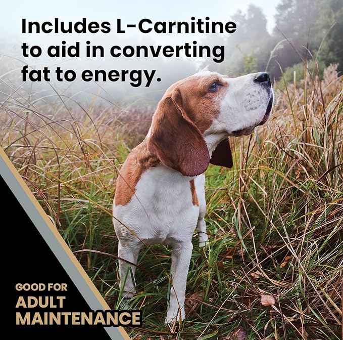 VICTOR Super Premium Dog Food – Purpose – Senior Healthy Weight Management – Dry Dog Food for Adult Dogs – Gluten Free with Glucosamine and Chondroitin, for Hip and Joint Health, 15lbs