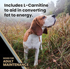 VICTOR Super Premium Dog Food – Purpose – Senior Healthy Weight Management – Dry Dog Food for Adult Dogs – Gluten Free with Glucosamine and Chondroitin, for Hip and Joint Health, 40lbs