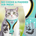 PUPTECK Cat Harness and Leash Set Escape Proof Reflective Cat Walking Harness Adjustable Soft Breathable Mesh Vest for Small Pets, Aquamarine, XS