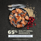 ACANA Indoor Entrée Fish Recipe Dry Cat Food 10lb Bag
