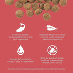 Go! Solutions Sensitivities Limited Ingredients, Grain-Free Dry Dog Food, Salmon Recipe for Sensitive Stomach, 22 lb Bag