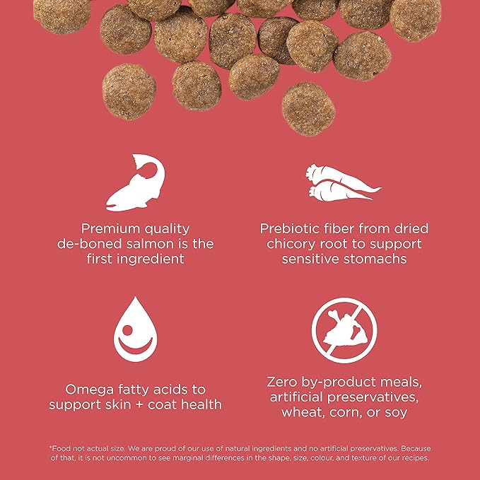 Go! Solutions Sensitivities Limited Ingredients, Grain-Free Dry Dog Food, Salmon Recipe for Sensitive Stomach, 3.5 lb Bag