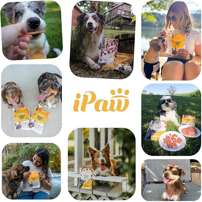 iPaw Chicken Tots Dog Treats for Puppy Training, All Natural Human Grade Dog Treat, Hypoallergenic, Easy to Digest (Chicken Tots), 3 Packs
