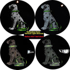 Mile High Life Dog Collar | Nylon Reflective Dog Collars | Light Weight Puppy Collars | Lime Green Dog Collars for Large Dogs (Lime Green, Large)