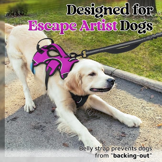 rabbitgoo Escape Proof Dog Harness, Soft Padded Full Body Pet Harness, Reflective Adjustable No Pull Vest with Lift Handle and Lesh Clip for Large Dogs Walking Hiking Training, L, Purple
