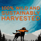 DogBone Fish Oil for Dogs 32 oz | Salmon Oil | Dog Fish Oil | Omega 3 | Dog Joint Supplement | Pet Vitamins and Supplements | Wild Alaskan Salmon Oil for Skin and Coat