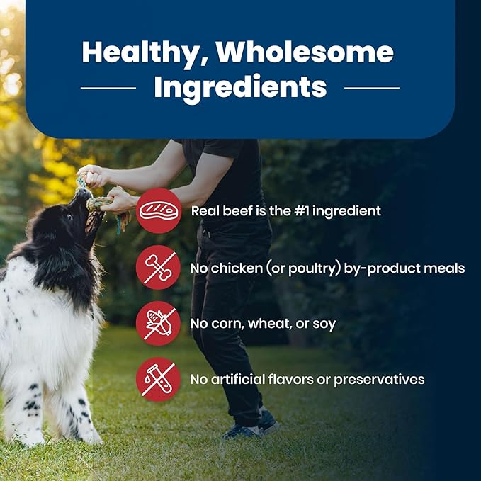 Blue Buffalo Life Protection Formula Adult Dry Dog Food, Helps Build and Maintain Strong Muscles, Made with Natural Ingredients, Beef & Brown Rice Recipe, 15-lb. Bag