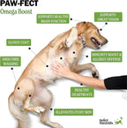 Deley Naturals Dog Fish Oil Icelandic 2X Omega - Dog Itching Skin Relief with Omega 3 6 9 for Allergies, Coat & Heart - Omega 3 Fish Oil for Dogs Skin Irritation - 16oz Omega Oil for Dogs Made in USA