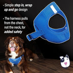 DOGGIE DESIGN American River Solid Ultra Choke-Free Dog Harness - Cobalt Blue (XXX-Large)