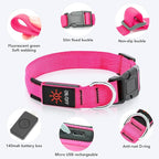 Light Up Collar, Led Dog Collar Adjustable, Rechargeable Waterproof, Night Walking Lights, Glow in Dark for Medium Large Dogs