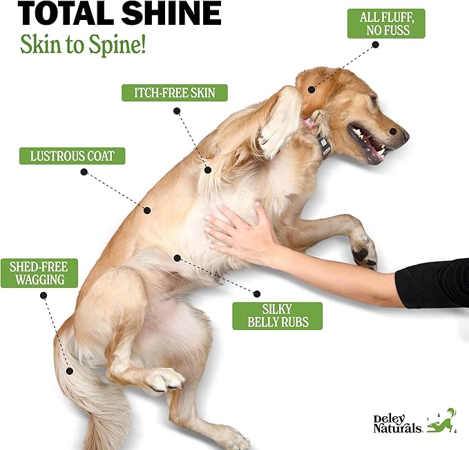 Deley Naturals Skin & Coat Chews - Dog Allergy Chews with Omega 3 Fish Oil, Biotin, Collagen and Essential Vitamins - Supports Dog Itching Skin Relief, Reduces Dryness and Healthy Coat - Made in USA