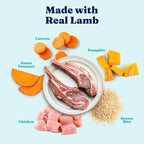 Solid Gold Canned Dog Food for Adult & Senior Dogs - High Protein Wet Dog Food w/Real Lamb, Whole Grains & Probiotics for Gut Health & Immunity - Small, Medium & Large Breed Dogs - 6ct 12.5oz Cans