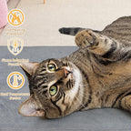 Pet Heating Pad for Cats and Small Dogs,Heated Cat Bed,Auto Temperature Control Waterproof Indoor Electric Pet Heating Pads for Cats with Chew Resistant Cord,20 * 16inch