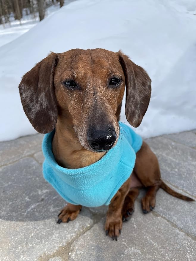 Gooby Zip Up Fleece Dog Sweater - Turquoise, Large - Warm Pullover Fleece Step-in Dog Jacket with Dual D Ring Leash for Small to Medium Dogs