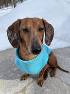 Gooby Zip Up Fleece Dog Sweater - Turquoise, Medium - Warm Pullover Fleece Step-in Dog Jacket with Dual D Ring Leash for Small to Medium Dogs