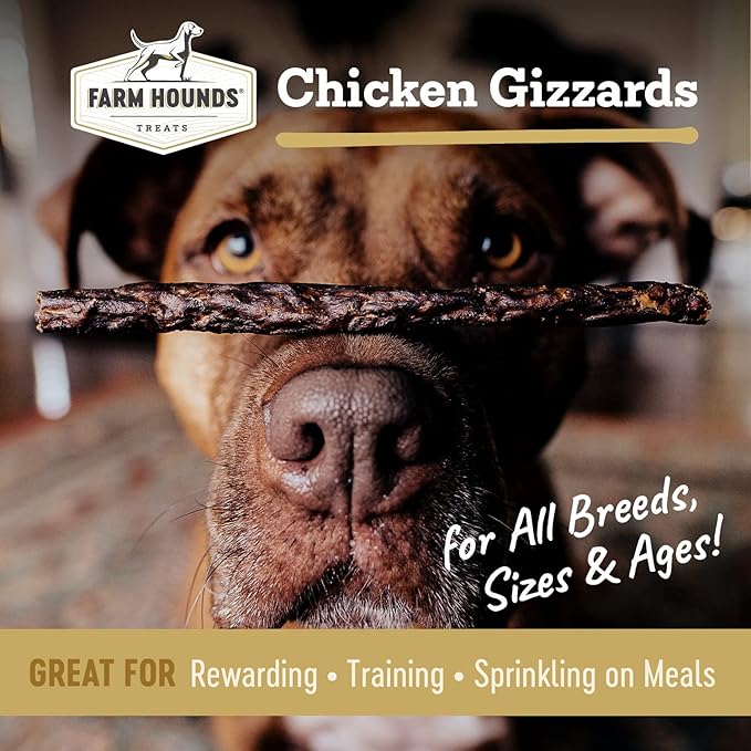 Farm Hounds - Chicken Gizzards - Premium Natural Jerky for Dogs - 100% Humanely Raised Chicken - Break-to-Size - Great for Training & Treats - No Added Fillers - Made in USA - 4oz -1 Pack