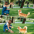 Tough Durable Squeaky Dog Toys for Aggressive chewers Interactive to Keep Them Busy, Funny Plush Dogs Toy for Small Medium Large Chewer Cute Birthday Gift (Armadillo)