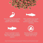 Go! Solutions Carnivore, Grain-Free, Protein Rich Dry Cat Food, Salmon and Cod Recipe, 3 lb Bag
