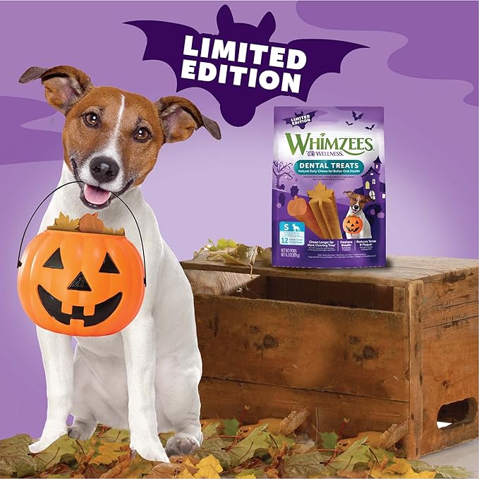 Wellness WHIMZEES Fall Dog Dental Treats, Autumn Natural Chews for Dogs, Small Size Stick, (12 Count)