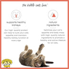 Dr. Elsey's Cleanprotein Salmon Formula Dry Cat Food, 6.6 Lb