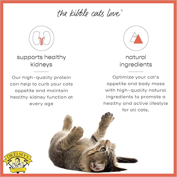 Dr. Elsey's Cleanprotein Salmon Formula Dry Cat Food, 6.6 Lb