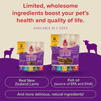 Plato Pet Treats Thinkers - Meat Stick Treats for Dogs - Limited Ingredient Dog Treats with EPA and DHA to Support Skin, Coat, and Brain - Air-Dried Dog Treats - Mini Thinkers Lamb 3oz