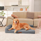 Orthopedic Dog Beds Large Sized Dog, 3 Inch Memory Foam Pet Bed for Medium and Large Dogs, Washable Removable Cover, Nonskid Bottom, Waterproof, 44x32 Inches XXL Dark Grey