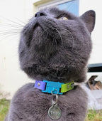 Kittyrama Cat & Kitten Collar - Cat Friendly Award Winner - Soft, Comfortable, Hypoallergenic, with Release Buckle - Seen in Vogue Magazine - Tahiti - Other Styles Available