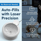 Always Full® 7" Pet Water Bowl and Wall Unit Bundle – Self-Refilling, Clean Filtered Water, Easy Home Connection, App-Enabled Hydration Tracking, Cat and Dog Water Bowls